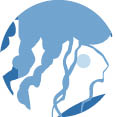 Jellyfish light